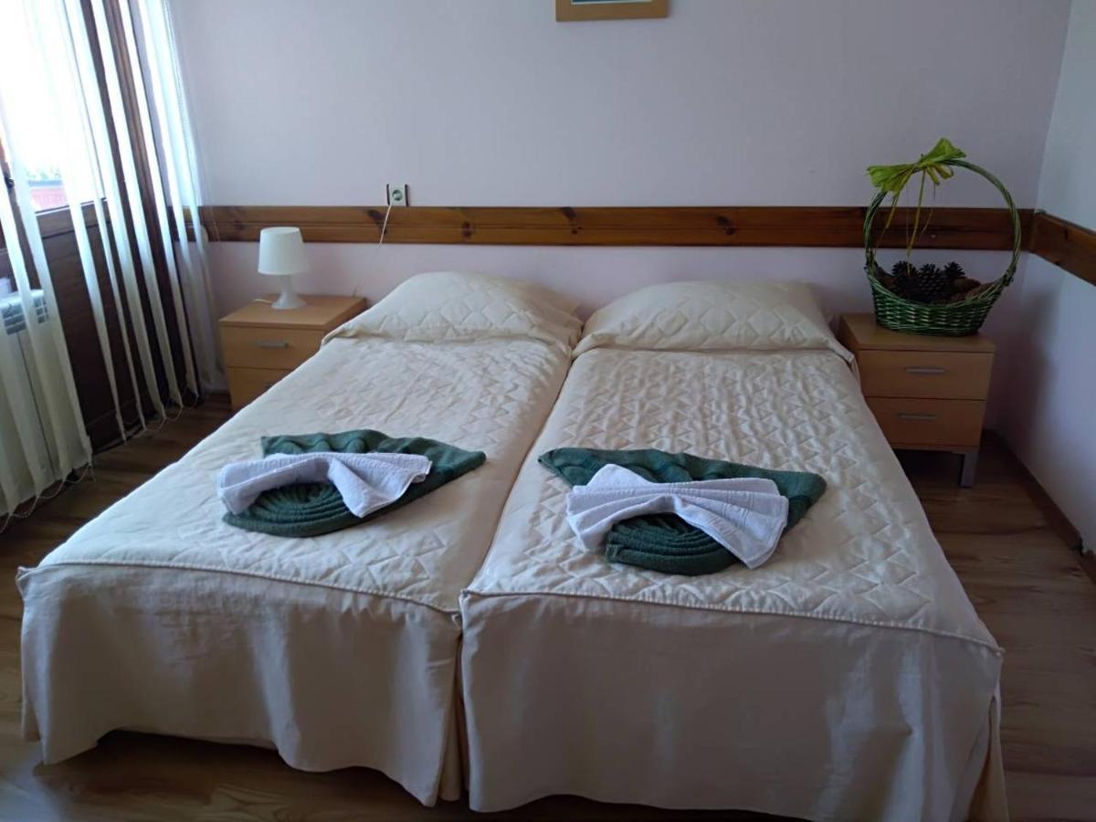 Guest House Planinski Zdravets بانسكو المظهر الخارجي الصورة