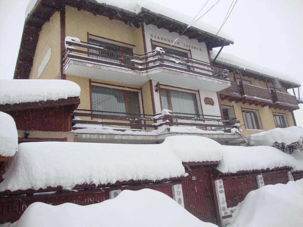 Guest House Planinski Zdravets بانسكو المظهر الخارجي الصورة