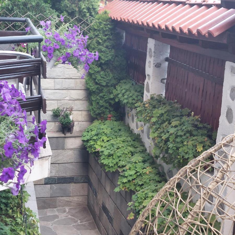 Guest House Planinski Zdravets بانسكو المظهر الخارجي الصورة