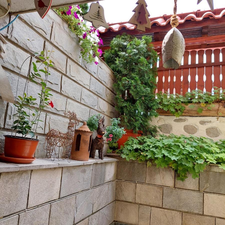 Guest House Planinski Zdravets بانسكو المظهر الخارجي الصورة