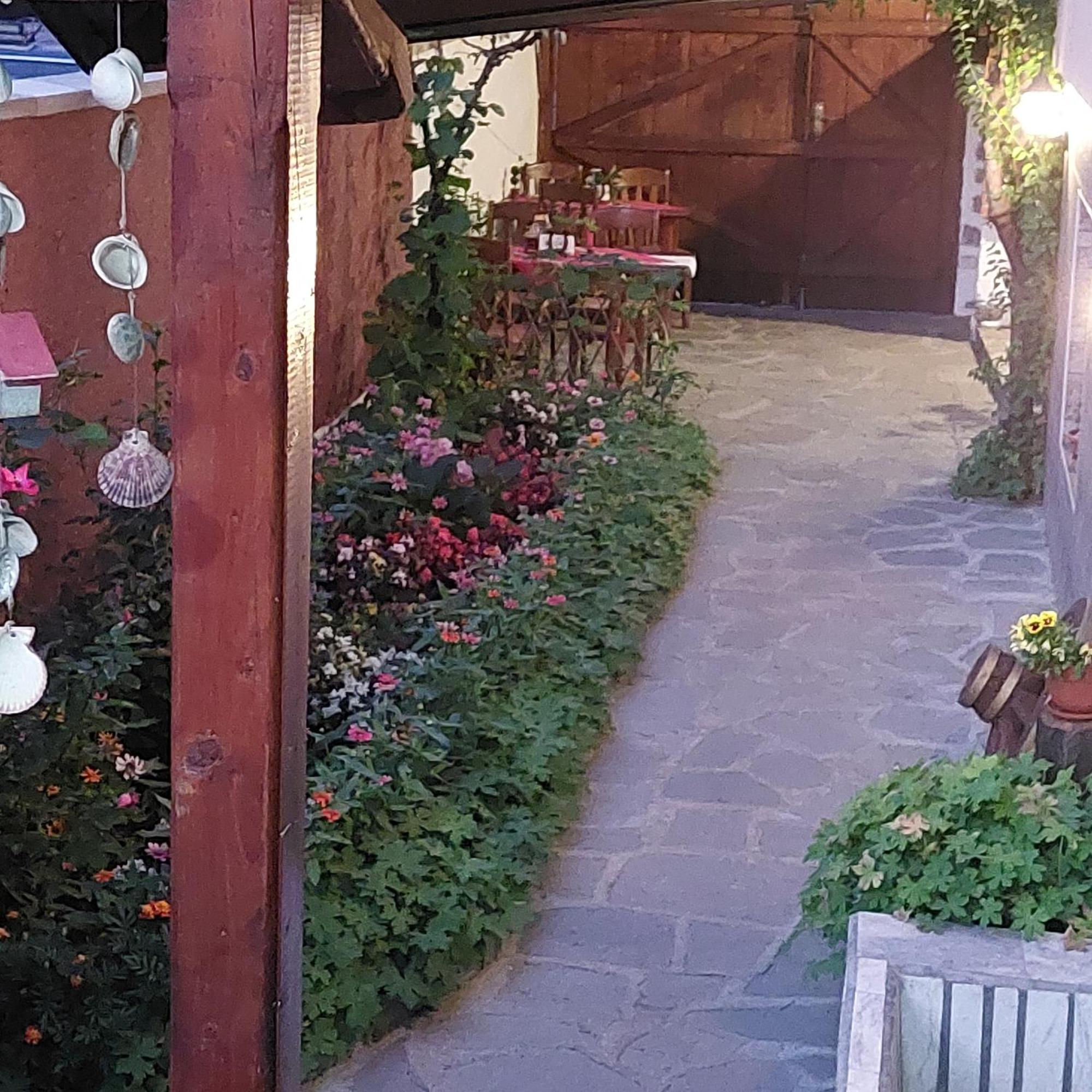 Guest House Planinski Zdravets بانسكو المظهر الخارجي الصورة