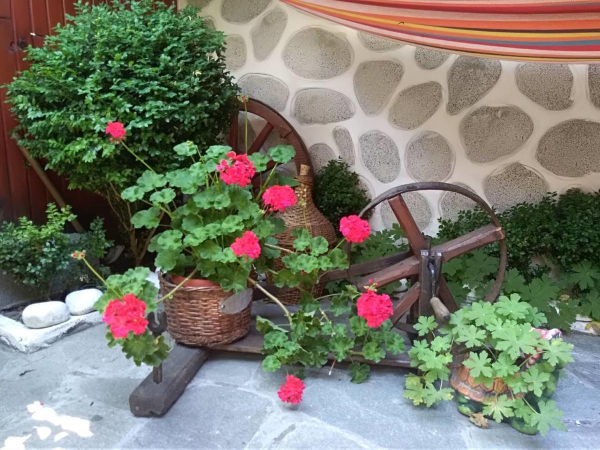 Guest House Planinski Zdravets بانسكو المظهر الخارجي الصورة